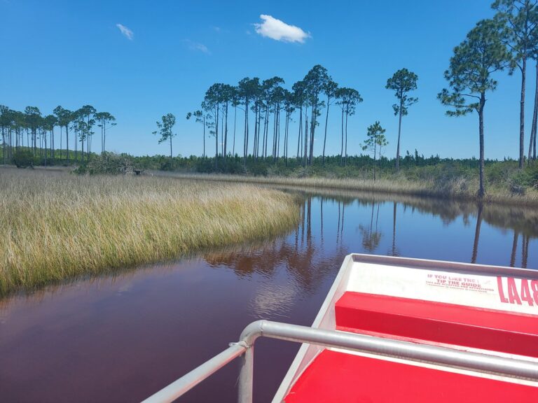 homes, modern, Manufactured homes, airboatrideinpanama, Parakeet Communities, mhp