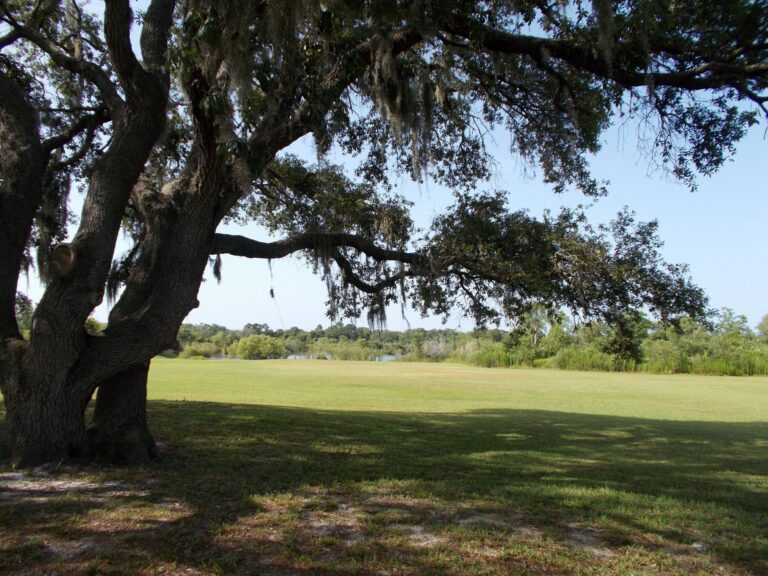 Manufactured homes for rent, modern, Steps to finding a new home, comfortable, homes, beautifulnaturesetting