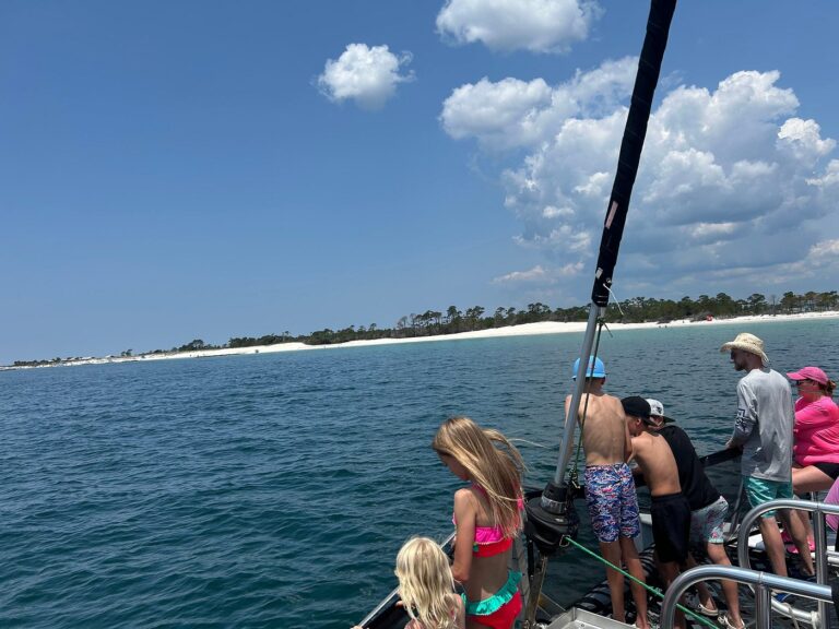 caption, comfortable, homes, Manufactured homes for rent, Parakeet Communities, modern