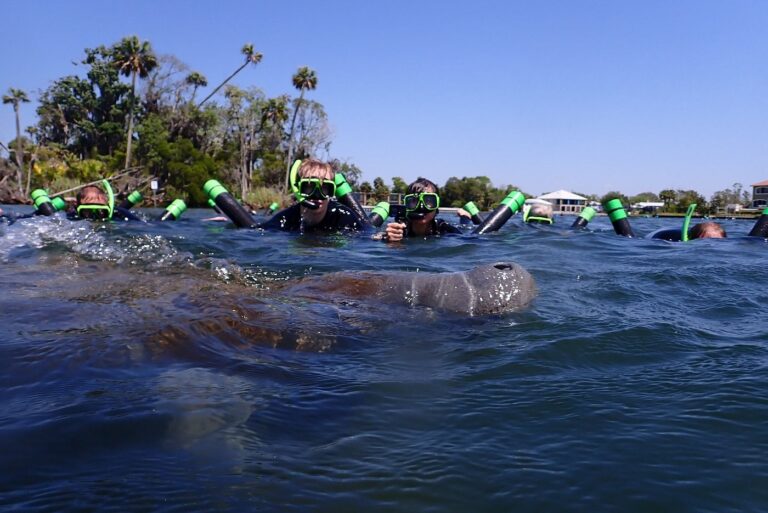 caption, mhp, Parakeet Communities, homes, comfortable, Manufactured homes