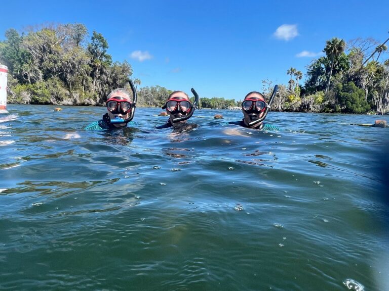 Manufactured homes, modern, Steps to finding a new home, comfortable, mhp, caption