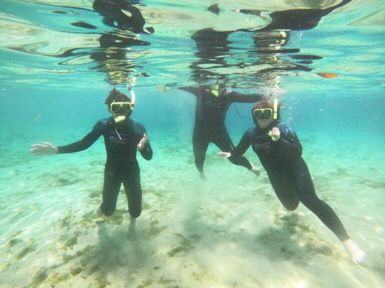 Parakeet Communities, modern, Manufactured homes for sale, caption, homes, safe