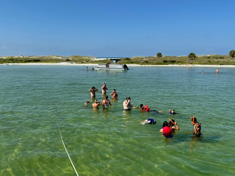 comfortable, safe, Parakeet Communities, caption, homes, Manufactured homes