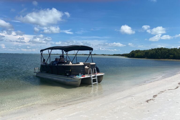 living, caption, Manufactured homes for rent, homes, safe, Manufactured homes