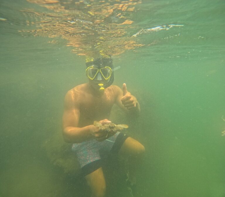 Manufactured homes for rent, modern, mobile homes, living, caption, homes