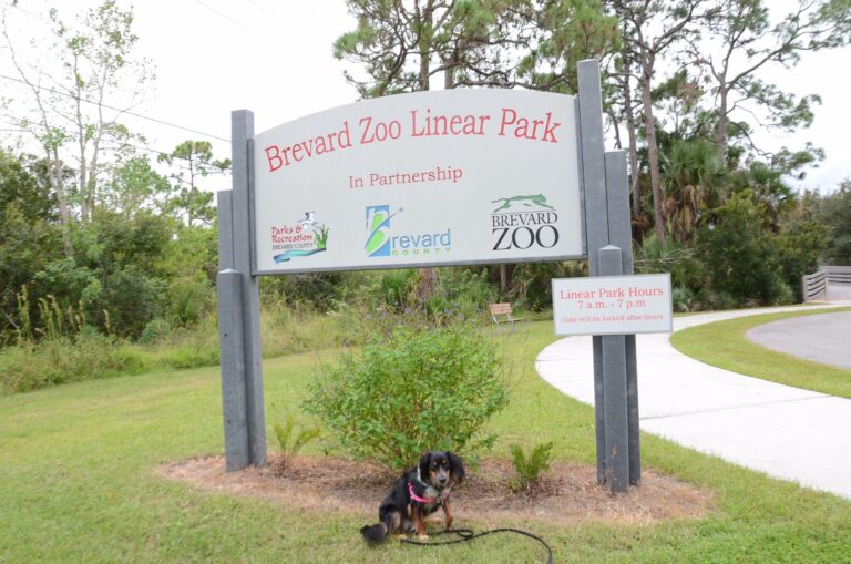 living, modern, mobile homes, Parakeet Communities, entrytothepark, mhp