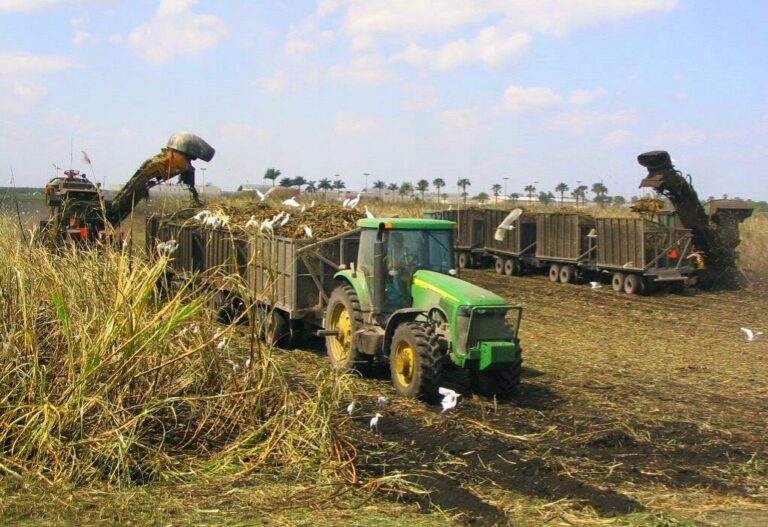 Manufactured homes, homes, mhp, harvestingmachines, safe, Manufactured homes for rent