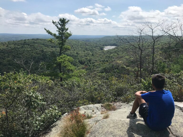 ifyourecravingapanoramic, Parakeet Communities, Manufactured homes for rent, homes, modern, comfortable