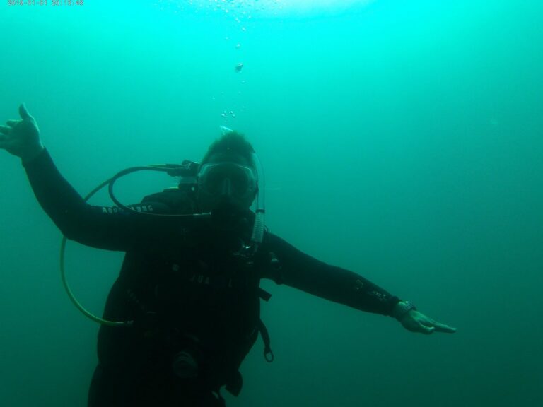 Manufactured homes for rent, Manufactured homes, introductoryscubadiving, comfortable, living, mhp