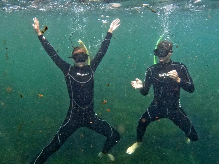 mhp, safe, privatemanateetour, homes, Manufactured homes for sale, Manufactured homes