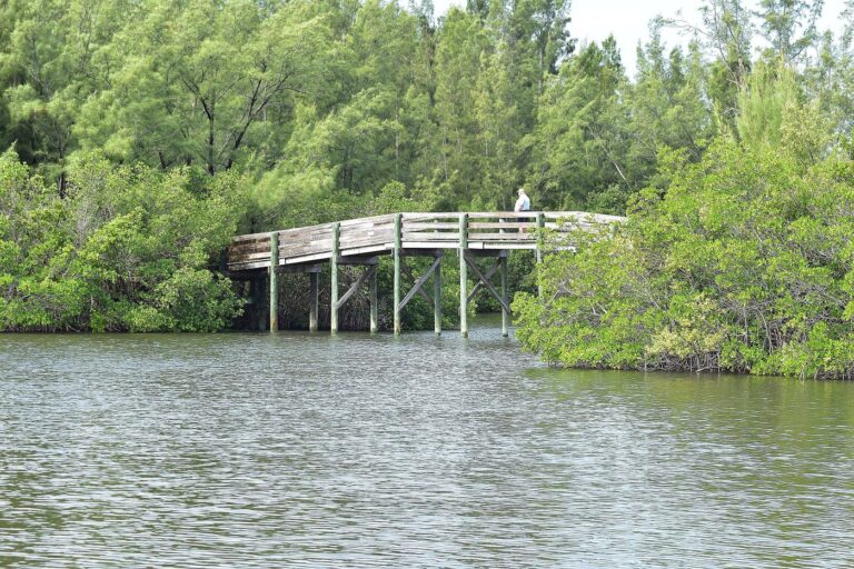 living, Parakeet Communities, theboardwalkoverthe, safe, modern, Steps to finding a new home