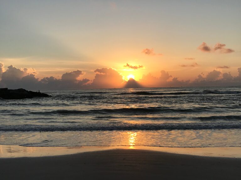 comfortable, homes, thejettyandbirdsalways, Manufactured homes, Manufactured homes for rent, mhp