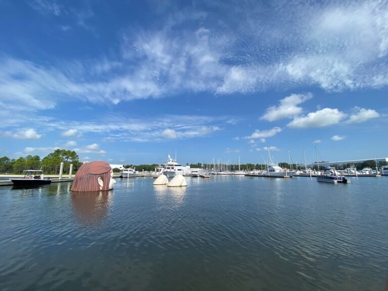 theladyinthewater, Parakeet Communities, safe, homes, modern, Steps to finding a new home