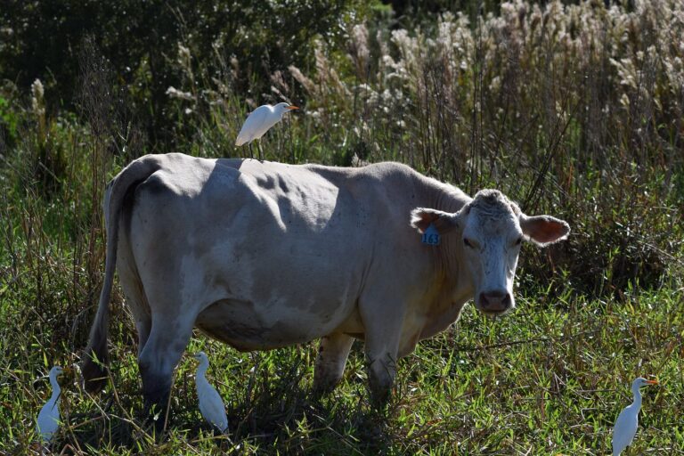 Manufactured homes for rent, thereareareaswith, mhp, Steps to finding a new home, living, comfortable