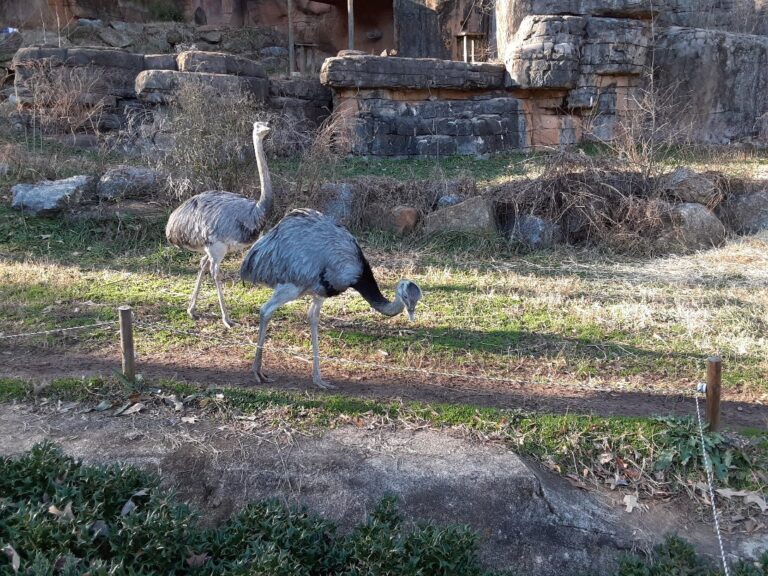 mobile homes, mhp, safe, Manufactured homes, largejpg, living