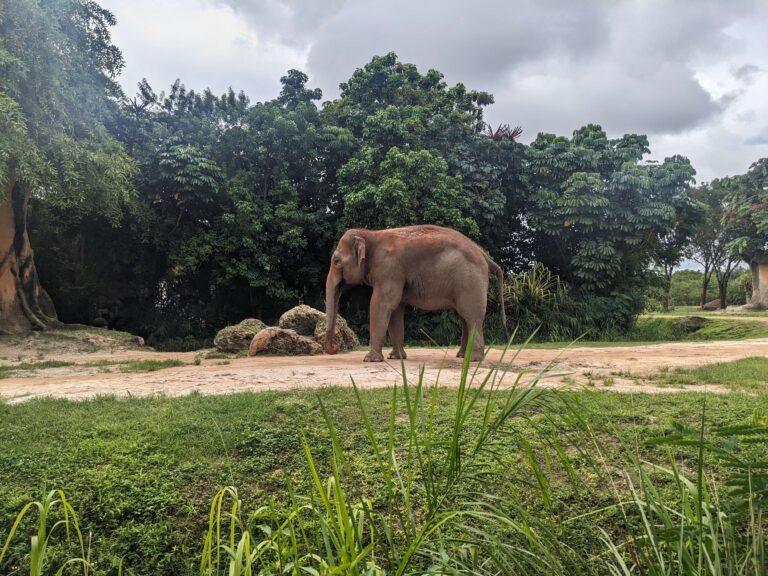 Steps to finding a new home, Parakeet Communities, modern, safe, comfortable, caption