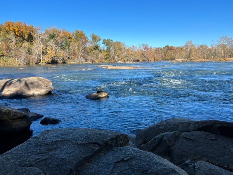 Manufactured homes for rent, living, mobile homes, caption, mhp, safe