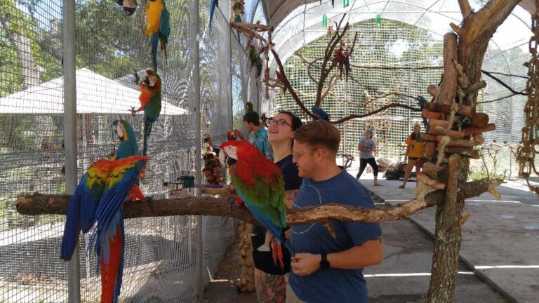 modern, mhp, Parakeet Communities, floridaexoticbirdsanctuary, safe, Manufactured homes for rent