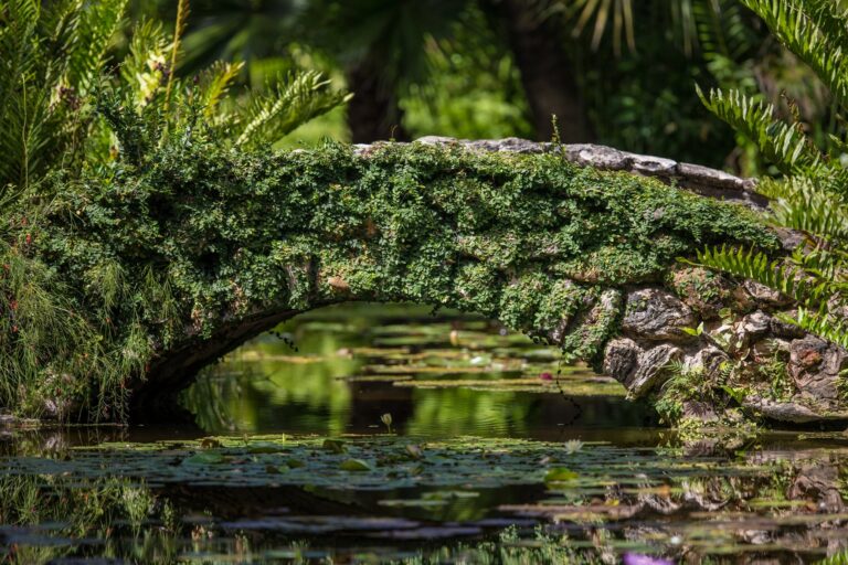 Parakeet Communities, comfortable, modern, historicstonebridge, homes, Manufactured homes for rent