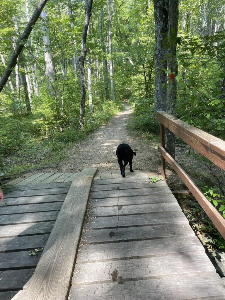 Manufactured homes for rent, imagepZnUFF, living, homes, Parakeet Communities, mhp