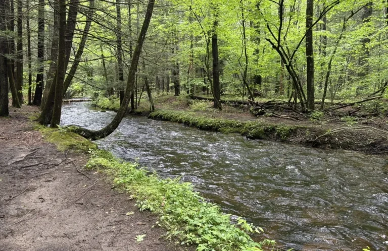 homes, Steps to finding a new home, Manufactured homes, mhp, lane conservation, comfortable