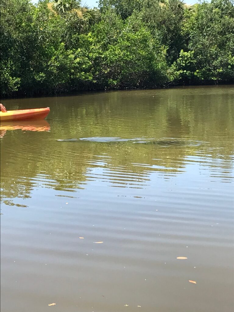 mhp, modern, homes, Steps to finding a new home, manateecovepark, Manufactured homes for rent