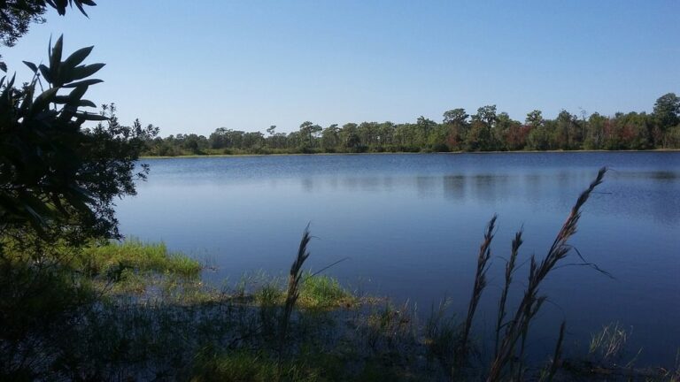 o, mhp, safe, comfortable, Manufactured homes, Parakeet Communities