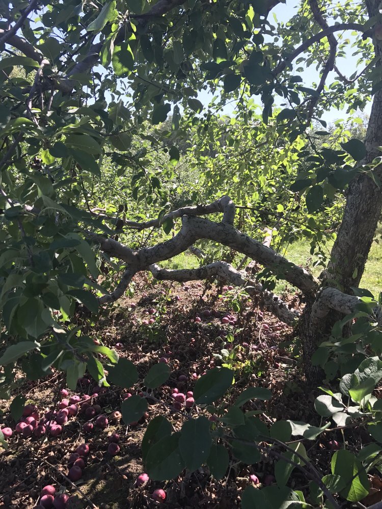 Manufactured homes, o, Manufactured homes for sale, modern, comfortable, mhp