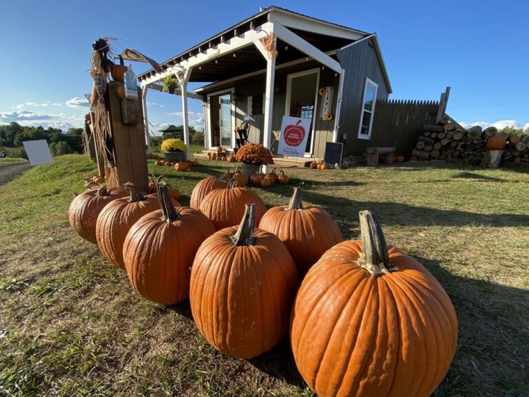 mobile homes, homes, o, living, mhp, Parakeet Communities