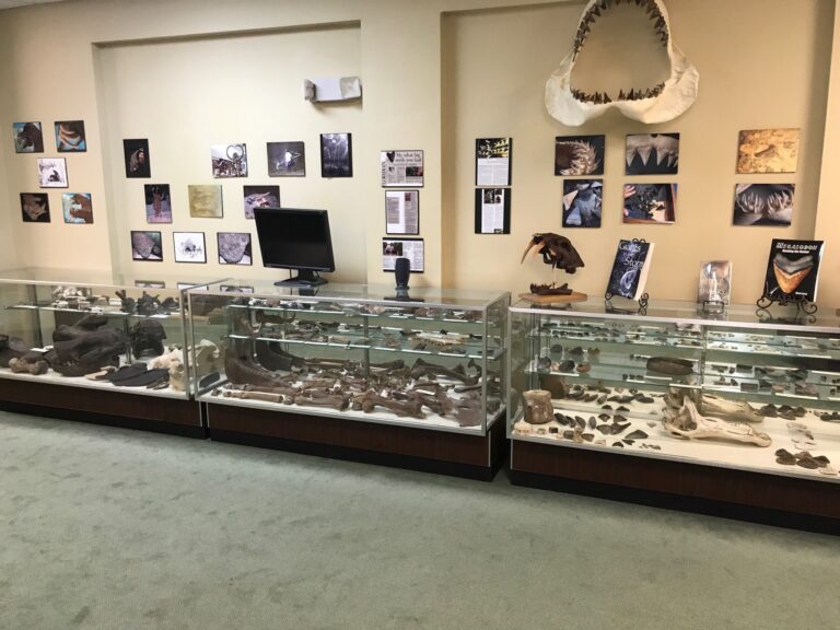 modern, photojpg, safe, Manufactured homes for rent, homes, mobile homes