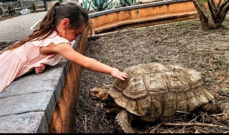 living, mobile homes, Parakeet Communities, comfortable, slider, modern