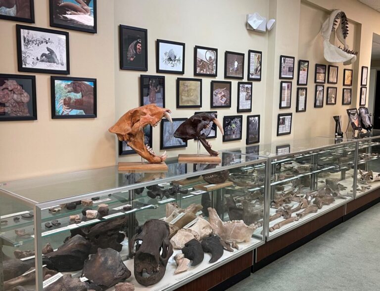 Manufactured homes for sale, living, Steps to finding a new home, homes, hmvuodmqfjwrlkidxyfkpzkemveaabfdfcc, modern