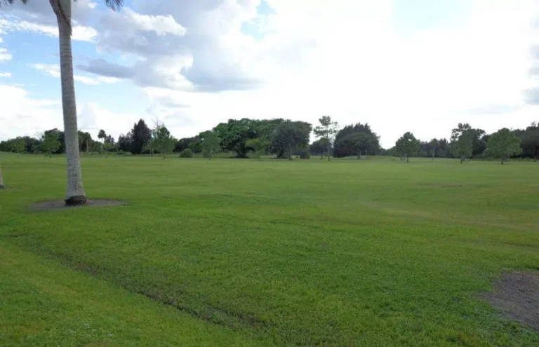 Manufactured homes, modern, Parakeet Communities, homes, golfpassbrightspotcdn, safe